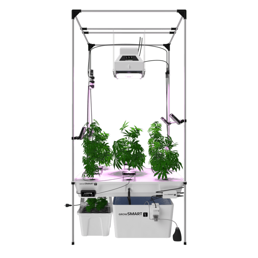 AERO growSYSTEM – Bild 3