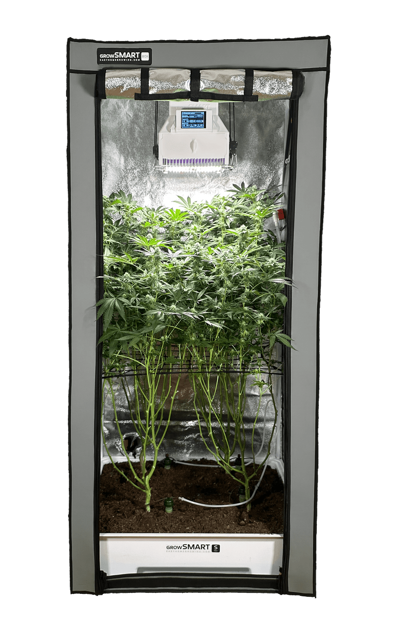 Real physical growSMART unit with plants growing inside